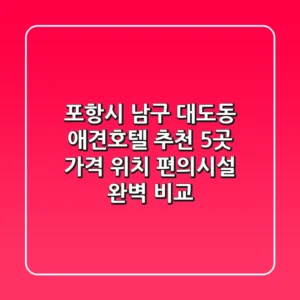 포항시 남구 대도동 애견호텔 추천 5곳 - 가격, 위치, 편의시설 완벽 비교