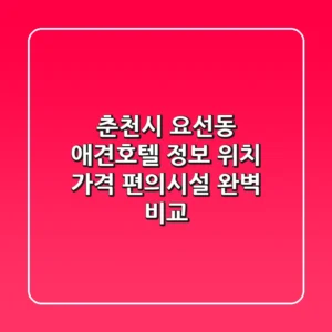 춘천시 요선동 애견호텔 정보: 위치, 가격, 편의시설 완벽 비교