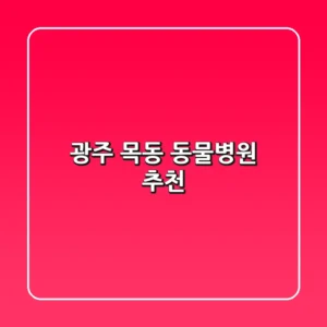 광주 목동 동물병원 추천