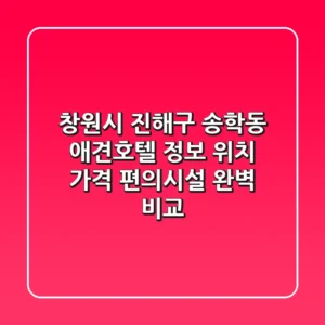 창원시 진해구 송학동 애견호텔 정보: 위치, 가격, 편의시설 완벽 비교