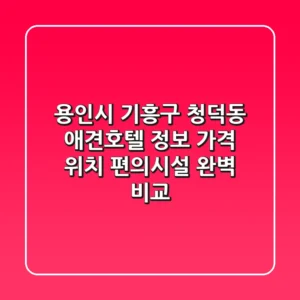 용인시 기흥구 청덕동 애견호텔 정보: 가격, 위치, 편의시설 완벽 비교