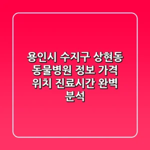 용인시 수지구 상현동 동물병원 정보: 가격, 위치, 진료시간 완벽 분석