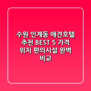 수원 인계동 애견호텔 추천 BEST 5 - 가격, 위치, 편의시설 완벽 비교