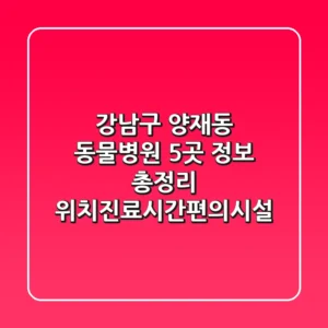 강남구 양재동 동물병원 5곳 정보 총정리 - 위치/진료시간/편의시설