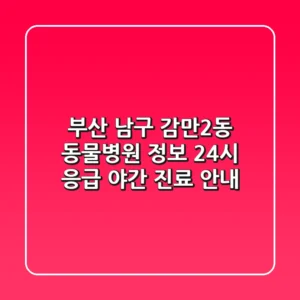 부산 남구 감만2동 동물병원 정보 - 24시 응급, 야간 진료 안내