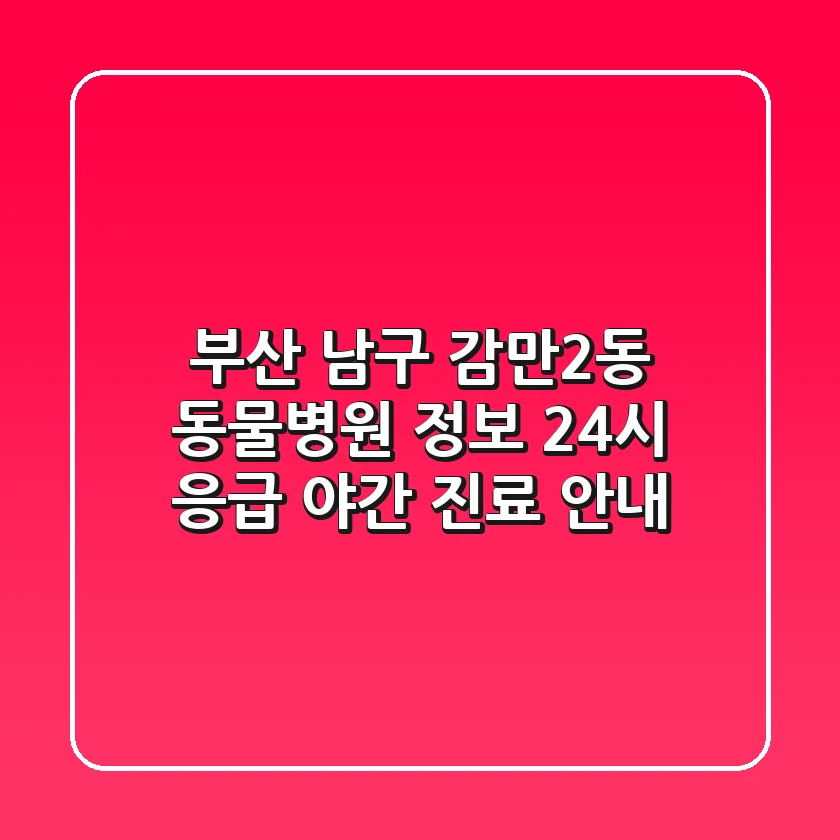 부산 남구 감만2동 동물병원 정보 - 24시 응급, 야간 진료 안내