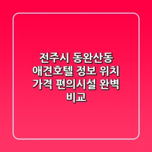 전주시 동완산동 애견호텔 정보 - 위치, 가격, 편의시설 완벽 비교