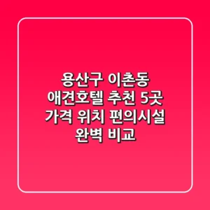 용산구 이촌동 애견호텔 추천 5곳 - 가격, 위치, 편의시설 완벽 비교