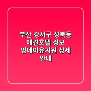 부산 강서구 성북동 애견호텔 정보: 멍데이유치원 상세 안내