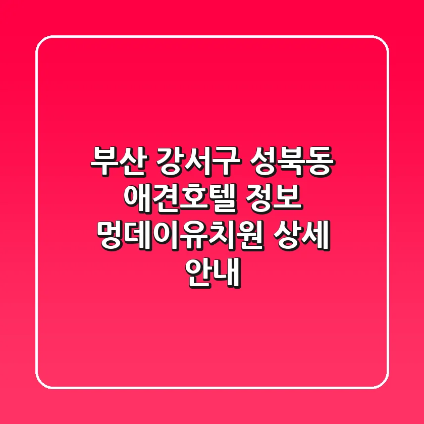 부산 강서구 성북동 애견호텔 정보: 멍데이유치원 상세 안내