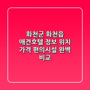 화천군 화천읍 애견호텔 정보: 위치, 가격, 편의시설 완벽 비교