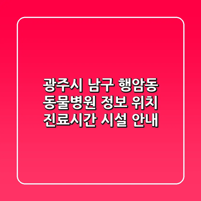 광주시 남구 행암동 동물병원 정보: 위치, 진료시간, 시설 안내
