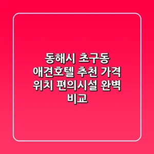 동해시 초구동 애견호텔 추천 - 가격, 위치, 편의시설 완벽 비교
