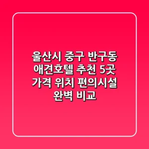 울산시 중구 반구동 애견호텔 추천 5곳 - 가격, 위치, 편의시설 완벽 비교