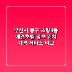 부산시 동구 초량4동 애견호텔 정보 - 위치, 가격, 서비스 비교