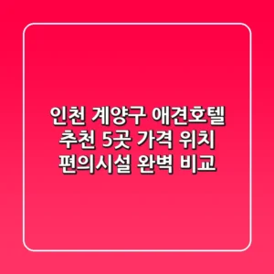 인천 계양구 애견호텔 추천 5곳 - 가격, 위치, 편의시설 완벽 비교