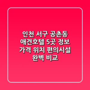 인천 서구 공촌동 애견호텔 5곳 정보 - 가격, 위치, 편의시설 완벽 비교