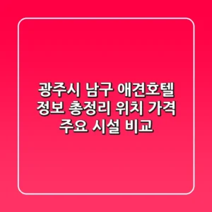 광주시 남구 애견호텔 정보 총정리 - 위치, 가격, 주요 시설 비교