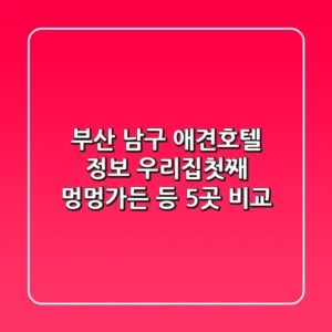 부산 남구 애견호텔 정보: 우리집첫째, 멍멍가든 등 5곳 비교