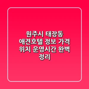 원주시 태장동 애견호텔 정보: 가격, 위치, 운영시간 완벽 정리