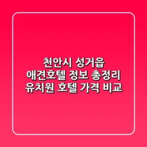 천안시 성거읍 애견호텔 정보 총정리 - 유치원, 호텔, 가격 비교