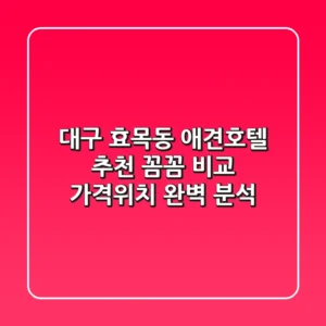 대구 효목동 애견호텔 추천: 꼼꼼 비교, 가격/위치 완벽 분석