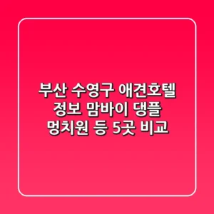 부산 수영구 애견호텔 정보: 맘바이, 댕플, 멍치원 등 5곳 비교