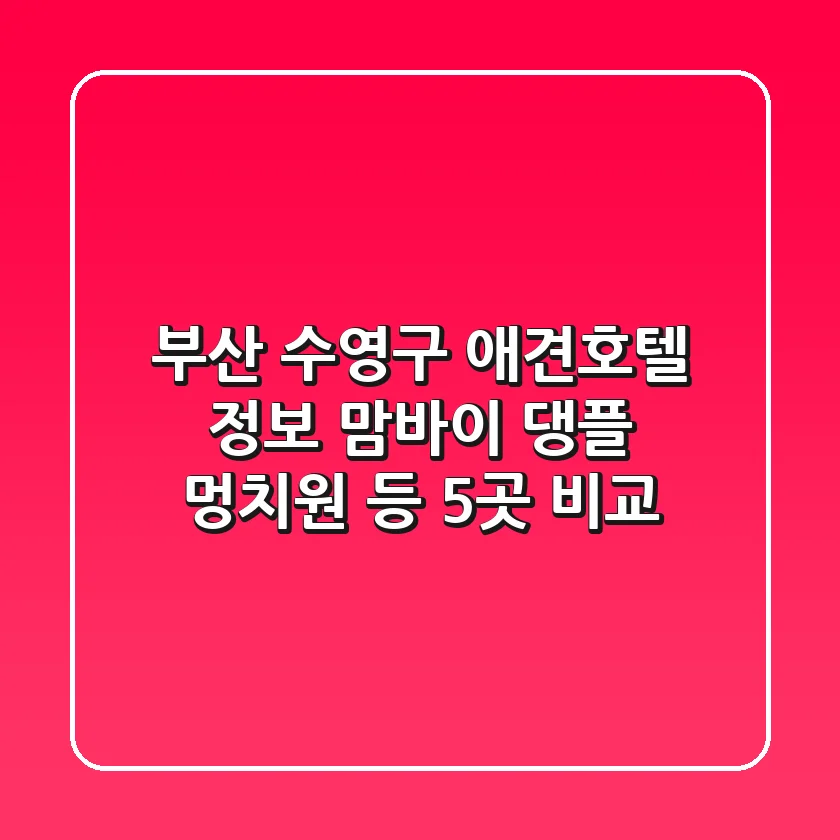 부산 수영구 애견호텔 정보: 맘바이, 댕플, 멍치원 등 5곳 비교