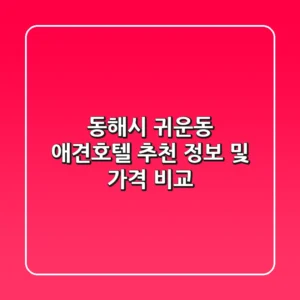 동해시 귀운동 애견호텔 추천: 정보 및 가격 비교