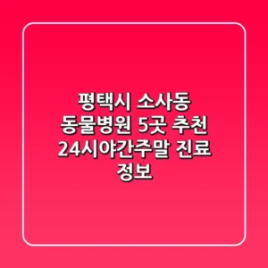 평택시 소사동 동물병원 5곳 추천 - 24시/야간/주말 진료 정보