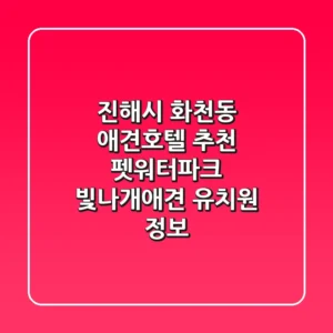 진해시 화천동 애견호텔 추천: 펫워터파크, 빛나개애견 유치원 정보