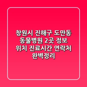 창원시 진해구 도만동 동물병원 2곳 정보 - 위치, 진료시간, 연락처 완벽정리