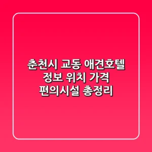 춘천시 교동 애견호텔 정보: 위치, 가격, 편의시설 총정리