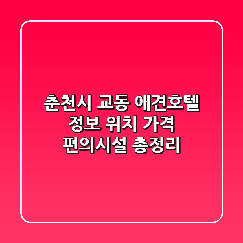 춘천시 교동 애견호텔 정보: 위치, 가격, 편의시설 총정리