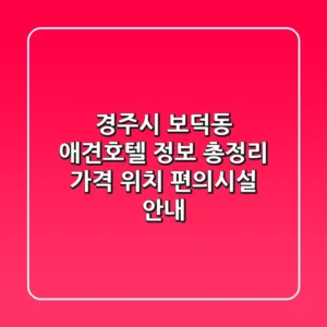 경주시 보덕동 애견호텔 정보 총정리 - 가격, 위치, 편의시설 안내