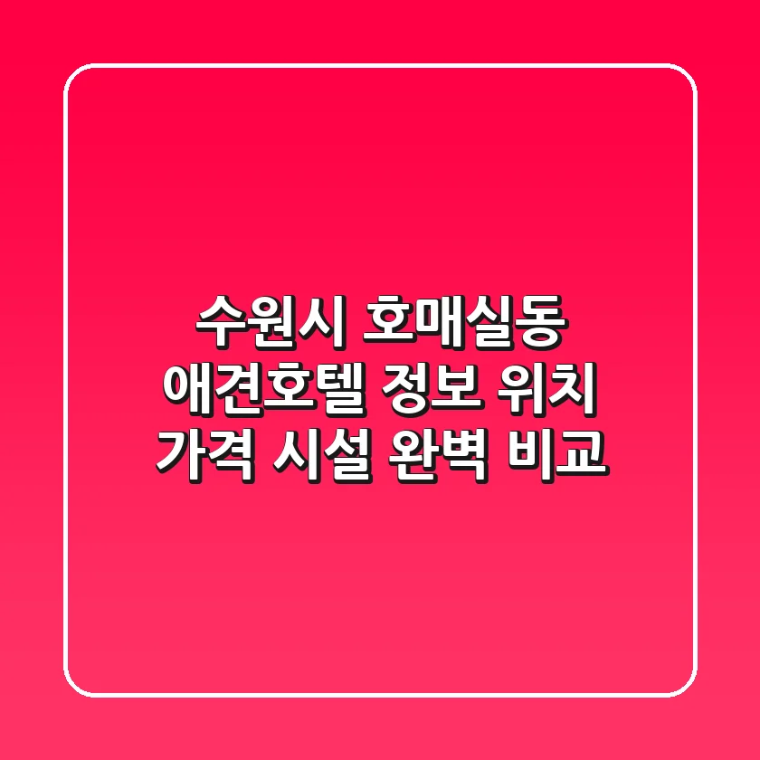 수원시 호매실동 애견호텔 정보: 위치, 가격, 시설 완벽 비교