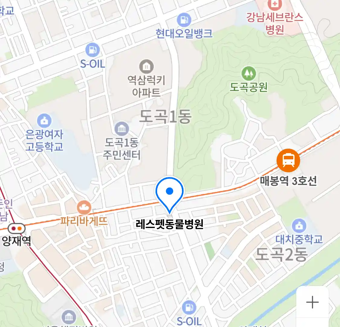레스펫동물병원 위치