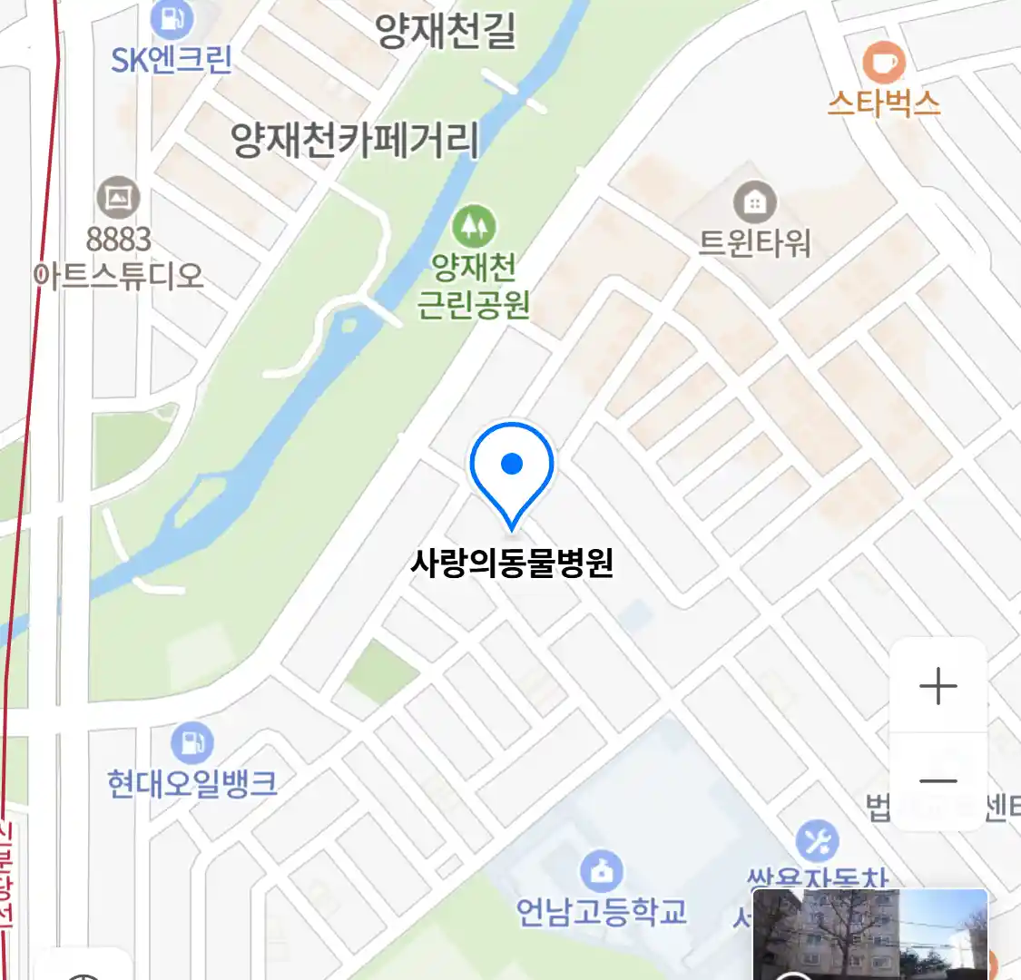 사랑의동물병원 위치