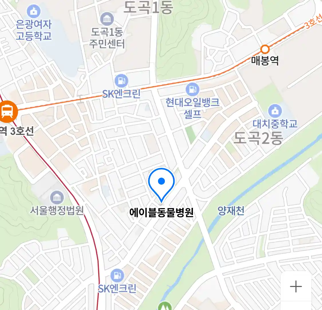 에이블동물병원 위치