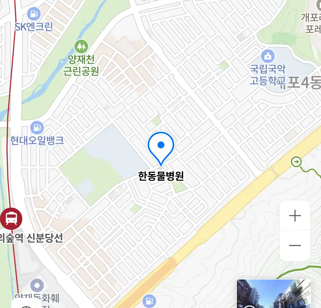 한동물병원 위치