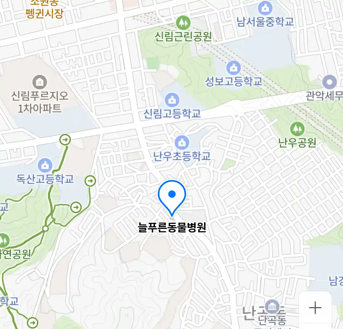 늘푸른동물병원