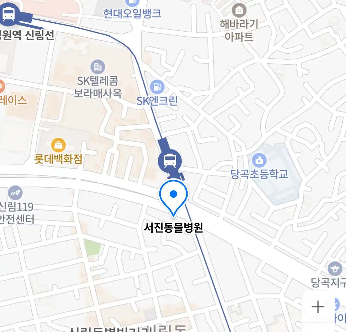 서진동물병원