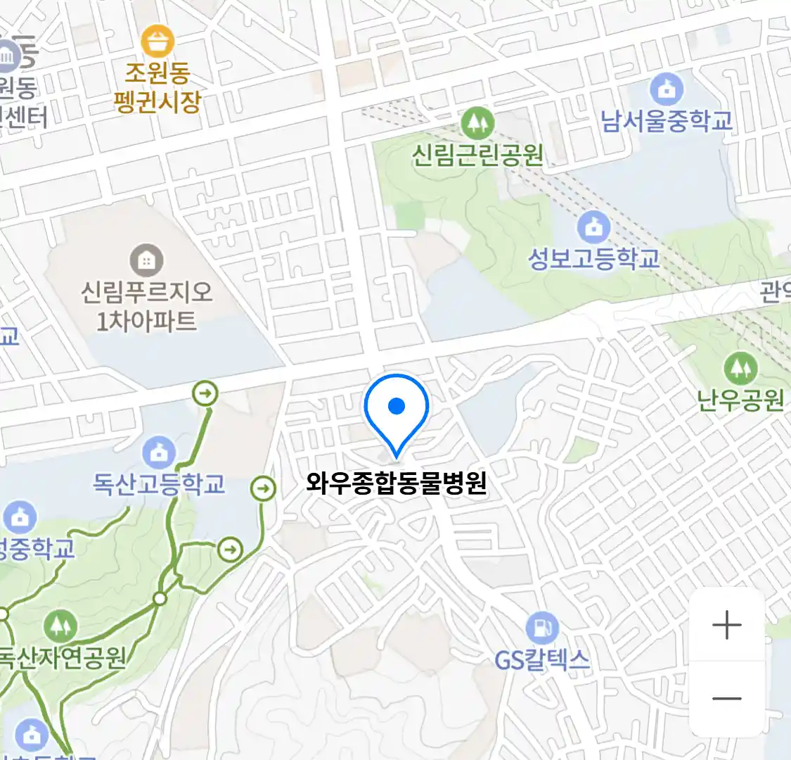 와우종합동물병원