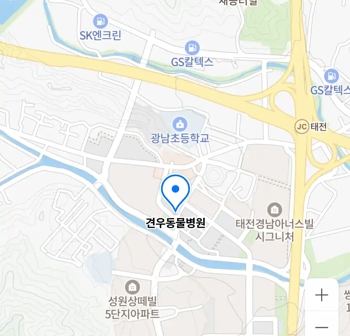 견우동물병원
