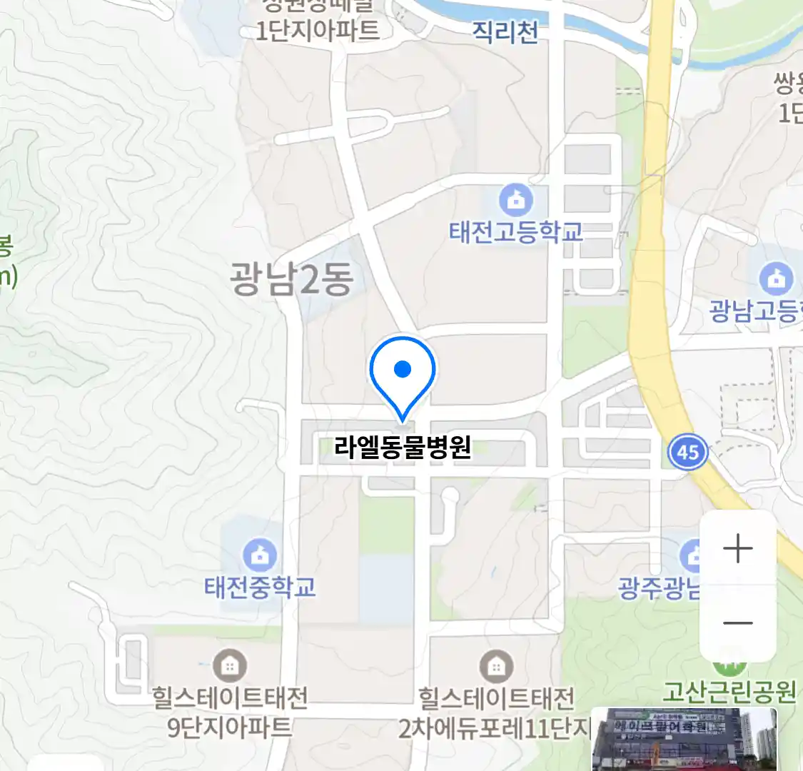 라엘동물병원