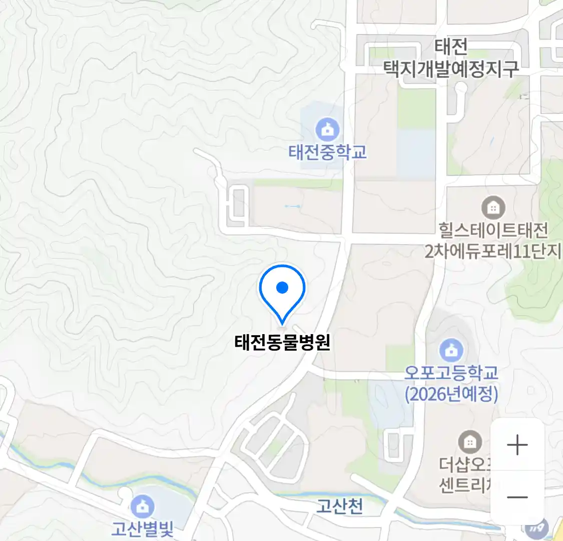 태전동물병원