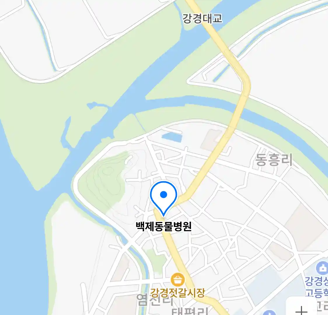 백제동물병원 위치