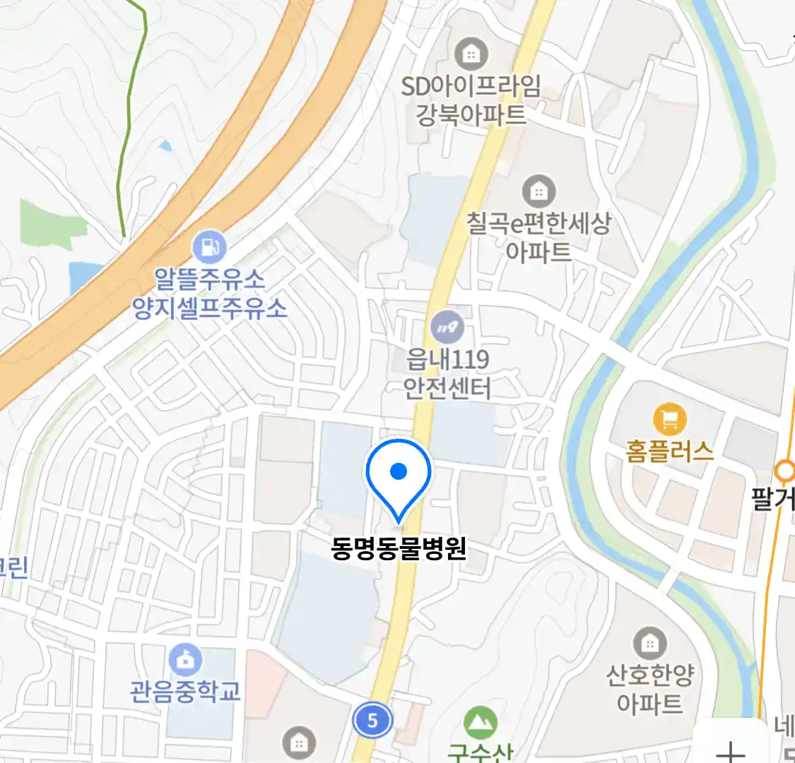 동명동물병원