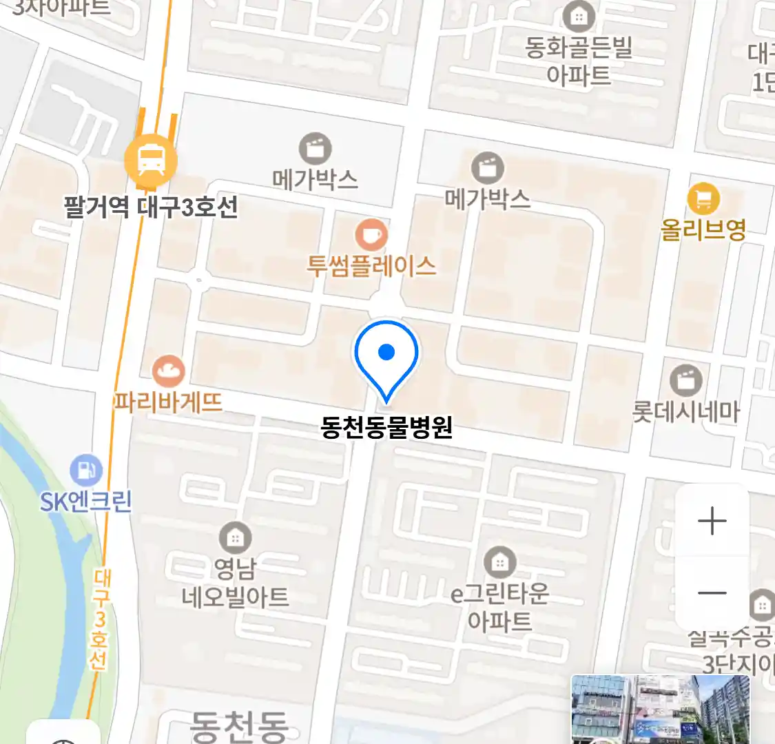 동천동물병원