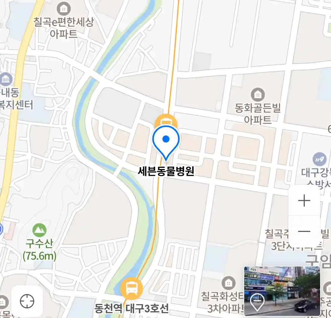 세븐동물병원